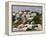 Traditonal Bermuda Houses-Gavin Hellier-Framed Premier Image Canvas