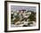 Traditonal Bermuda Houses-Gavin Hellier-Framed Photographic Print