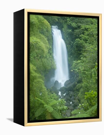 Trafalgar Falls, Roseau Valley, Morne Trois Pitons National Park, UNESCO World Heritage Site, Domin-Kim Walker-Framed Premier Image Canvas