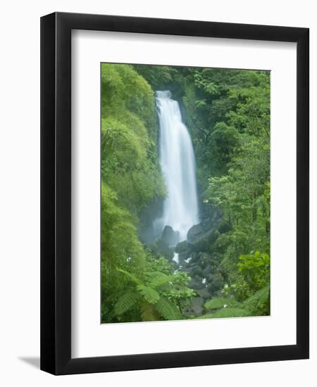 Trafalgar Falls, Roseau Valley, Morne Trois Pitons National Park, UNESCO World Heritage Site, Domin-Kim Walker-Framed Photographic Print