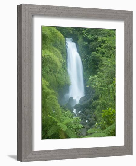 Trafalgar Falls, Roseau Valley, Morne Trois Pitons National Park, UNESCO World Heritage Site, Domin-Kim Walker-Framed Photographic Print