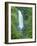 Trafalgar Falls, Roseau Valley, Morne Trois Pitons National Park, UNESCO World Heritage Site, Domin-Kim Walker-Framed Photographic Print