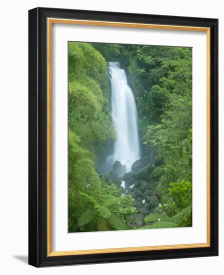 Trafalgar Falls, Roseau Valley, Morne Trois Pitons National Park, UNESCO World Heritage Site, Domin-Kim Walker-Framed Photographic Print