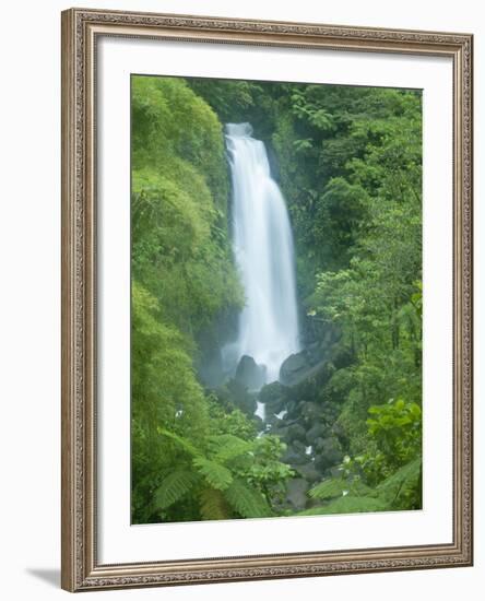 Trafalgar Falls, Roseau Valley, Morne Trois Pitons National Park, UNESCO World Heritage Site, Domin-Kim Walker-Framed Photographic Print