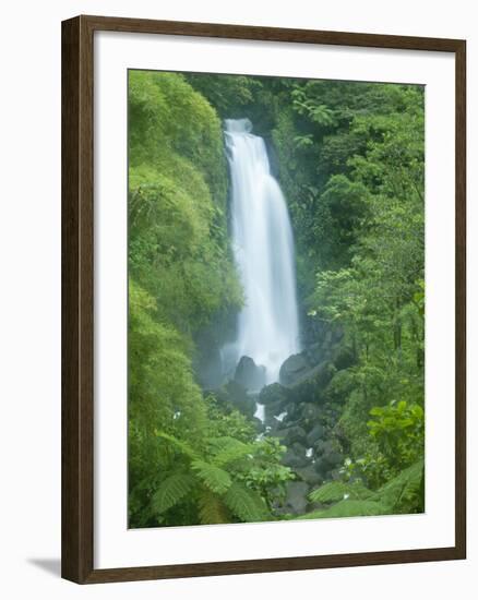 Trafalgar Falls, Roseau Valley, Morne Trois Pitons National Park, UNESCO World Heritage Site, Domin-Kim Walker-Framed Photographic Print