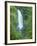 Trafalgar Falls, Roseau Valley, Morne Trois Pitons National Park, UNESCO World Heritage Site, Domin-Kim Walker-Framed Photographic Print