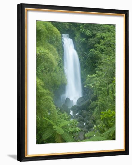 Trafalgar Falls, Roseau Valley, Morne Trois Pitons National Park, UNESCO World Heritage Site, Domin-Kim Walker-Framed Photographic Print