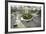 Traffic Intersection Nguyen Hue Boulevard and Le Loi Boulevard, Ho Chi Minh City (Saigon), Vietnam-Yadid Levy-Framed Photographic Print