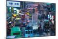 Photographic Print