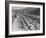 Traffic on Hollywood Freeway-Philip Gendreau-Framed Photographic Print