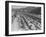 Traffic on Hollywood Freeway-Philip Gendreau-Framed Photographic Print