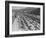 Traffic on Hollywood Freeway-Philip Gendreau-Framed Photographic Print