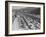 Traffic on Hollywood Freeway-Philip Gendreau-Framed Photographic Print