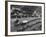 Traffic Piled Up at the New Jersey Entrance of the Holland Tunnel-Margaret Bourke-White-Framed Photographic Print