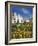 Traffic Roundabout with Painted Bicycles, Seaton, Devon Heritage Coast, Devon, England, UK, Europe-Neale Clarke-Framed Photographic Print