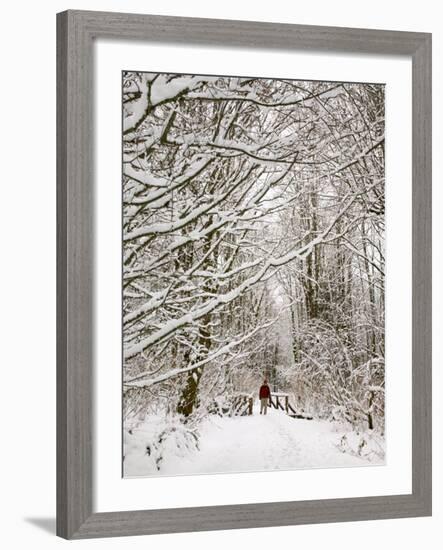 Trail and Hiker in Winter, Tiger Mountain State Forest, Washington, USA-Jamie & Judy Wild-Framed Photographic Print