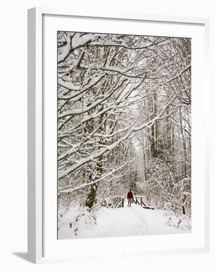 Trail and Hiker in Winter, Tiger Mountain State Forest, Washington, USA-Jamie & Judy Wild-Framed Photographic Print