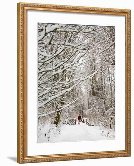 Trail and Hiker in Winter, Tiger Mountain State Forest, Washington, USA-Jamie & Judy Wild-Framed Photographic Print