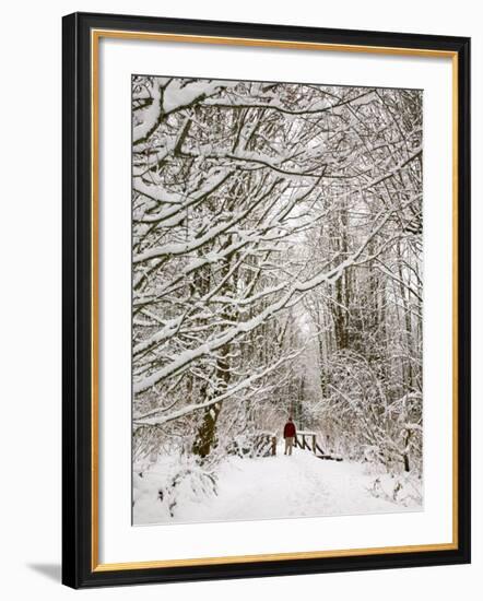 Trail and Hiker in Winter, Tiger Mountain State Forest, Washington, USA-Jamie & Judy Wild-Framed Photographic Print