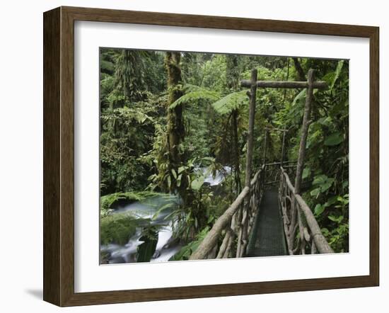 Trail in Cloud Forest, La Paz Waterfall Gardens, Central Valley, Costa Rica-Rolf Nussbaumer-Framed Photographic Print