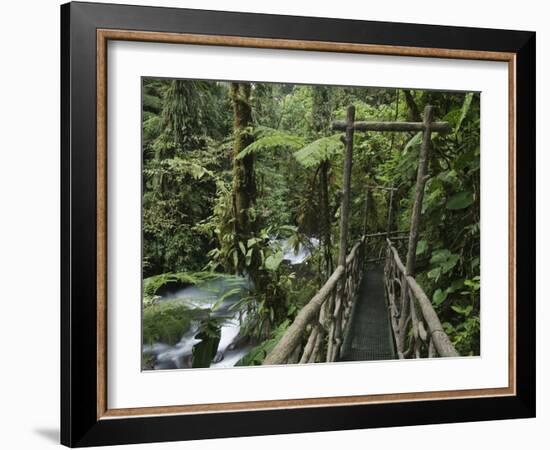 Trail in Cloud Forest, La Paz Waterfall Gardens, Central Valley, Costa Rica-Rolf Nussbaumer-Framed Photographic Print