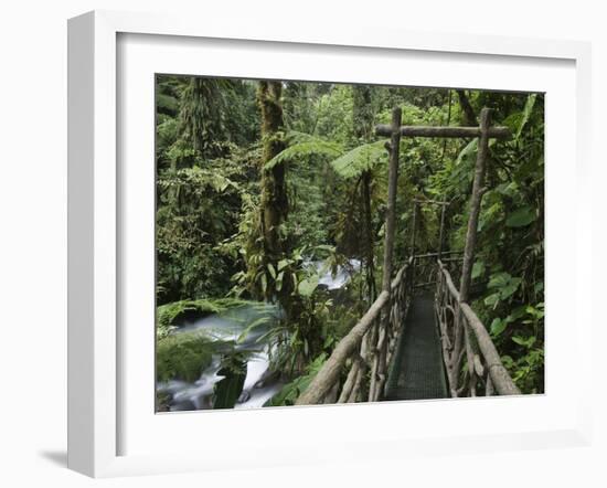 Trail in Cloud Forest, La Paz Waterfall Gardens, Central Valley, Costa Rica-Rolf Nussbaumer-Framed Photographic Print