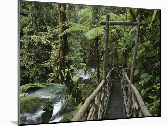 Trail in Cloud Forest, La Paz Waterfall Gardens, Central Valley, Costa Rica-Rolf Nussbaumer-Mounted Photographic Print