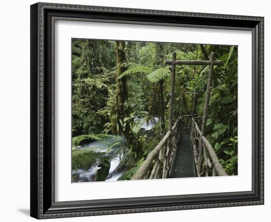 Trail in Cloud Forest, La Paz Waterfall Gardens, Central Valley, Costa Rica-Rolf Nussbaumer-Framed Photographic Print