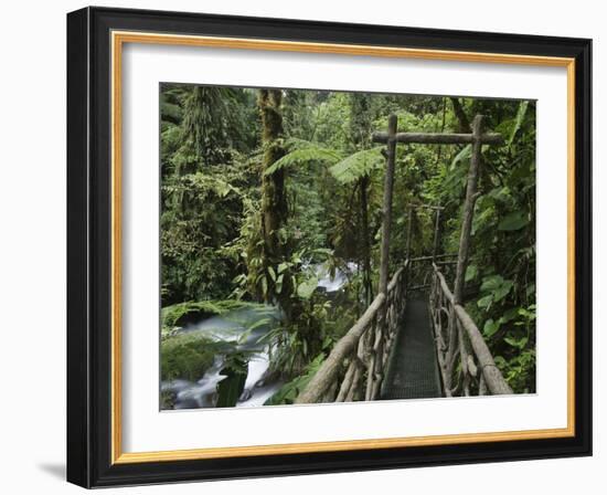 Trail in Cloud Forest, La Paz Waterfall Gardens, Central Valley, Costa Rica-Rolf Nussbaumer-Framed Photographic Print