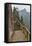 Trail in Fog, Yellow Mountains a UNESCO World Heritage Site-Darrell Gulin-Framed Premier Image Canvas