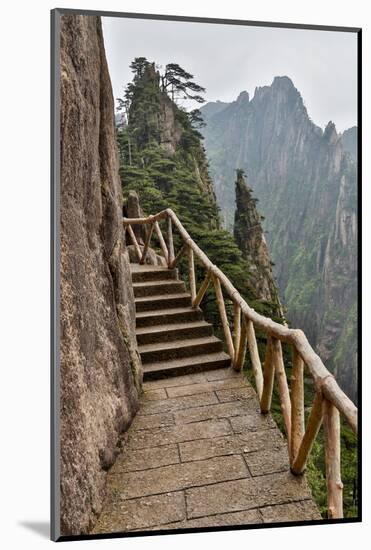 Trail in Fog, Yellow Mountains a UNESCO World Heritage Site-Darrell Gulin-Mounted Photographic Print