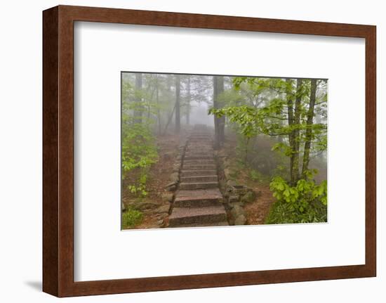 Trail in Fog, Yellow Mountains a UNESCO World Heritage Site-Darrell Gulin-Framed Photographic Print