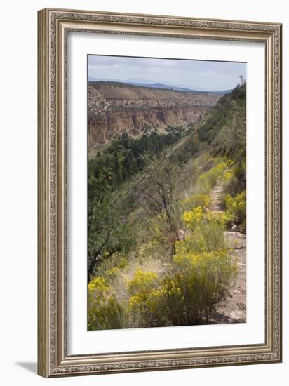 Trail Into Frijoles Canyon, Bandelier National Monument, New Mexico-null-Framed Photographic Print