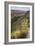 Trail Into Frijoles Canyon, Bandelier National Monument, New Mexico-null-Framed Photographic Print