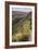 Trail Into Frijoles Canyon, Bandelier National Monument, New Mexico-null-Framed Photographic Print