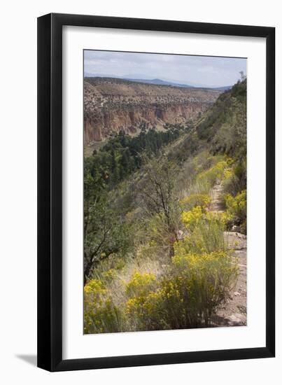 Trail Into Frijoles Canyon, Bandelier National Monument, New Mexico-null-Framed Photographic Print