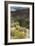 Trail Into of Frijoles Canyon, Bandelier National Monument, New Mexico-null-Framed Photographic Print