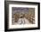 Trail into the Cholla Cactus Garden, Joshua Tree NP, California, USA-Jaynes Gallery-Framed Photographic Print