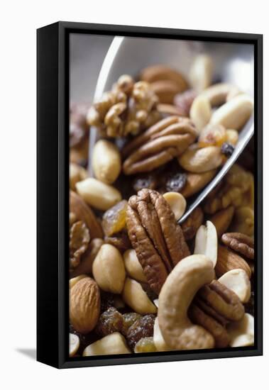 Trail Mix-J.C. Vaillant-Framed Premier Image Canvas