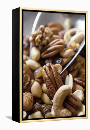 Trail Mix-J.C. Vaillant-Framed Premier Image Canvas