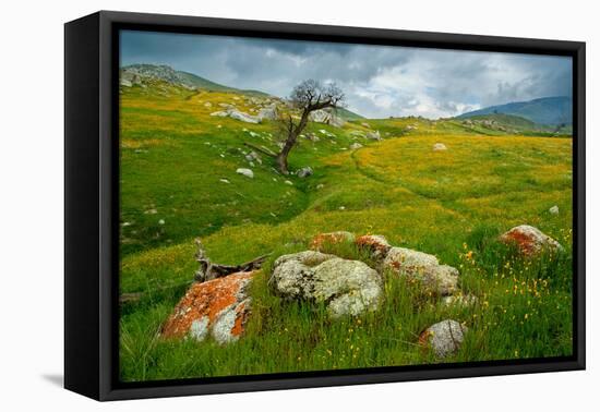 Trail Northward-Mark Geistweite-Framed Premier Image Canvas