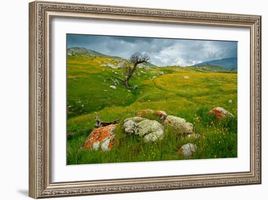 Trail Northward-Mark Geistweite-Framed Photographic Print