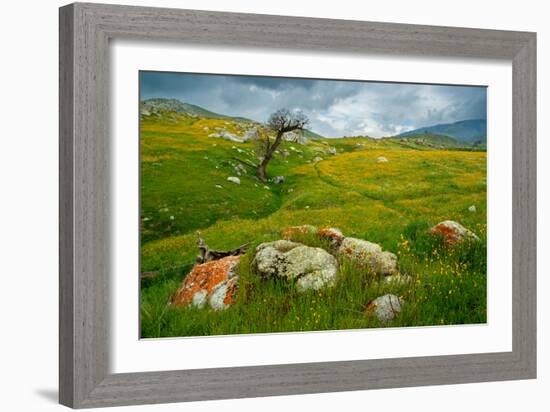 Trail Northward-Mark Geistweite-Framed Photographic Print