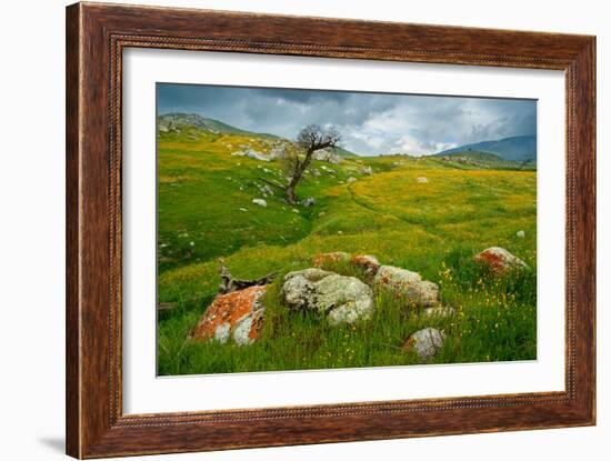 Trail Northward-Mark Geistweite-Framed Photographic Print