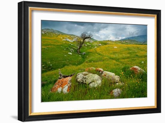 Trail Northward-Mark Geistweite-Framed Photographic Print