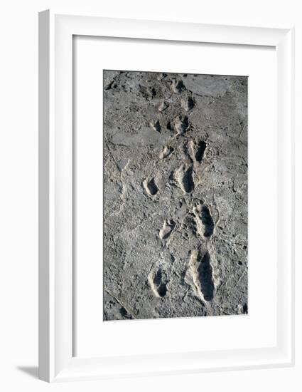 Trail of Laetoli Footprints.-John Reader-Framed Photographic Print