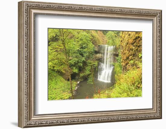 Trail of Ten Falls, Silver Falls State Park, near Silverton, Oregon-Stuart Westmorland-Framed Photographic Print