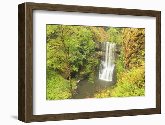 Trail of Ten Falls, Silver Falls State Park, near Silverton, Oregon-Stuart Westmorland-Framed Photographic Print