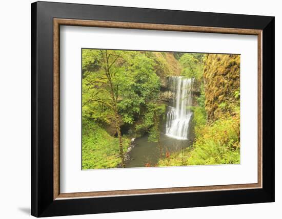 Trail of Ten Falls, Silver Falls State Park, near Silverton, Oregon-Stuart Westmorland-Framed Photographic Print