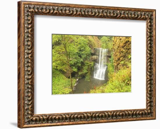 Trail of Ten Falls, Silver Falls State Park, near Silverton, Oregon-Stuart Westmorland-Framed Photographic Print